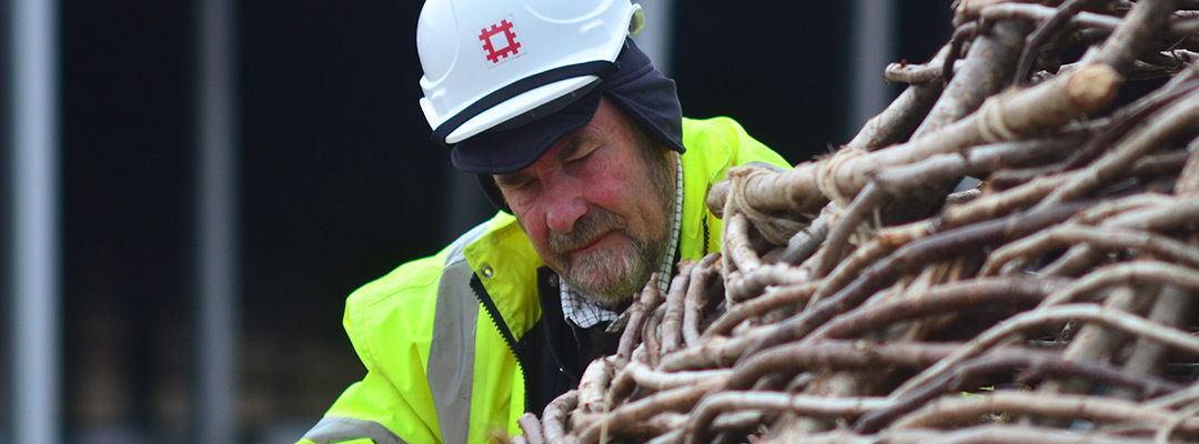 thatching